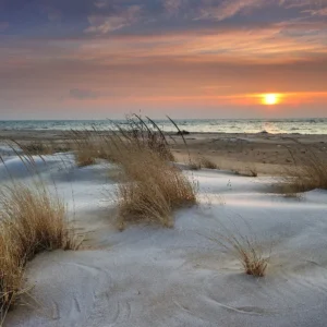 Evening breeze over the dunes