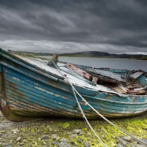 Abandoned boat in green moss