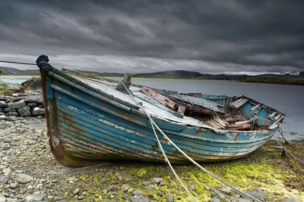 Abandoned boat in green moss